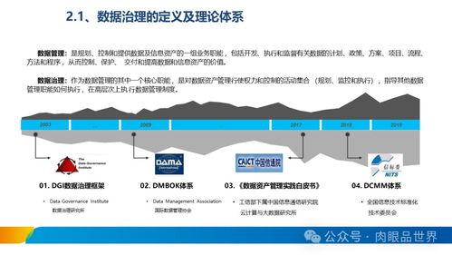 XX集团数据治理体系建设方案 数据处理服务专项规划