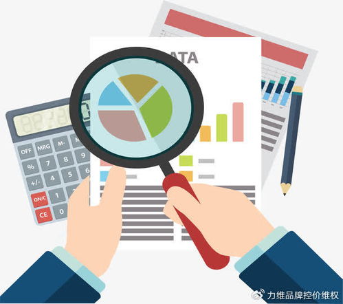 专业电商数据分析服务赋能品牌破局