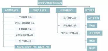 数据安全治理白皮书 2.0 精简版 数据处理服务